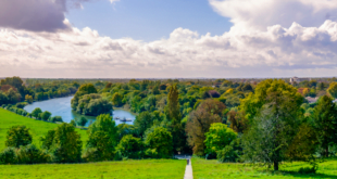 Twickenham Therapy Clinic Header